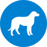 ikona_zwierzeta