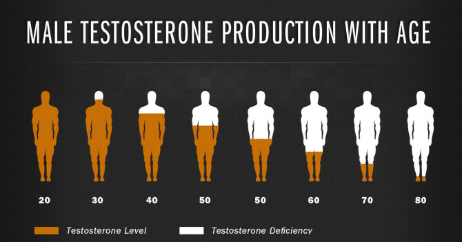Male-Testosterone-Production