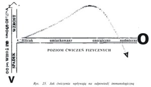 Rysunek1